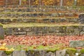 Moss covered limestone steps in autumnal park