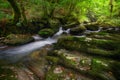 Limestone steps into a river in the Courel Mountains