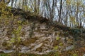 Limestone stony wildlife. The soil of the autumn forest. Background with copy space for text Royalty Free Stock Photo