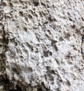 Limestone texture