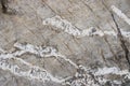 Limestone texture - background