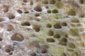 Limestone texture close up