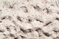Limestone Texture Close Up. Old Background Of Wall