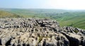 Limestone texture on the top of Malham Cove (UK)