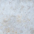 Limestone tile texture with mottled pattern and golden undertone