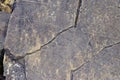 Limestone in turbiditic facies. Eocene, Lutecian. 4 Mya Royalty Free Stock Photo