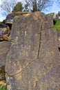Limestone in turbiditic facies. Eocene, Lutecian. 4 Mya Royalty Free Stock Photo