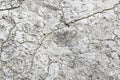 Limestone wall of textura