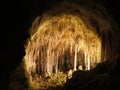 Limestones in Carlsbad Caverns National Park Royalty Free Stock Photo