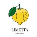 Limetta citrus fruit, line icon in vector to indicate on food packaging about the presence of this allergen