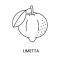 Limetta citrus fruit, line icon in vector to indicate on food packaging about the presence of this allergen