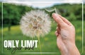 Only limit is your mind. Hand holding Dandelion flower, close up photography, banner design, poster design. Motivational quotes