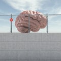 Human brain closed in a cage Royalty Free Stock Photo