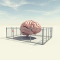 Human brain closed in a cage . Limited mind and boundaries concept