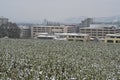 Limmattal Hospital in German called Limmattal Spital behind agricultural field in winter. Royalty Free Stock Photo