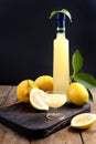 Limoncello in a bottle and a small shot with liquor. The traditional alcoholic beverage of Italy, from citrus. Fresh fruits and Royalty Free Stock Photo