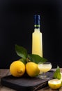 Limoncello in a bottle and a small shot with liquor. The traditional alcoholic beverage of Italy, from citrus. Fresh fruits and Royalty Free Stock Photo