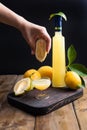 Limoncello in a bottle and a small shot with liquor. The traditional alcoholic beverage of Italy, from citrus. Fresh fruits and Royalty Free Stock Photo