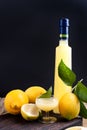 Limoncello in a bottle and a small shot with liquor. The traditional alcoholic beverage of Italy, from citrus. Fresh fruits and Royalty Free Stock Photo