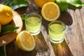 Limoncello, Italian liqueur with lemons. Traditional Mediterranean sweet shot alcoholic drink close up Royalty Free Stock Photo