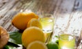 Limoncello, Italian liqueur with lemons. Traditional Mediterranean sweet shot alcoholic drink close up Royalty Free Stock Photo