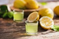 Limoncello, Italian liqueur with lemons. Traditional Mediterranean sweet shot Royalty Free Stock Photo