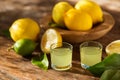 Limoncello, Italian liqueur with lemons. Traditional Mediterranean sweet shot