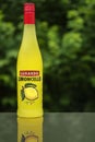 Limoncello liquor bottle