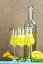 Limoncello with thyme in grappas wineglass with water drops on light concrete table. Artistic still life on light background with