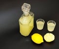 Limoncello, traditional Italian alcohol and ripe cut citrus fruits on a black background