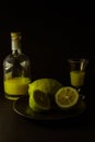 Limoncello traditional italian lemon liqueur with bottle, glass and fresh lemon halves Royalty Free Stock Photo