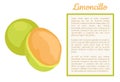 Limoncillo Fruit Whole Cut, Spanish Lime Poster