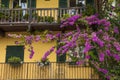 Limone, Lake Garda, Italy, August 2019, view of the small town of Limone