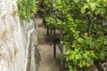 Limone, Lake Garda, Italy, Europe, August 2019, Limonaia del Castel