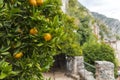 Limone, Lake Garda, Italy, Europe, August 2019, Limonaia del Castel