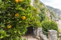 Limone, Lake Garda, Italy, Europe, August 2019, Limonaia del Castel