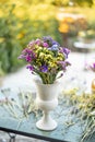 Limonium flower in vase