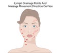 Facial Massage Technique and Shiatsu points, acupuncture Vector Illustration