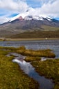 Limpiopungo Lagoon at the foot of Cotopaxi Royalty Free Stock Photo