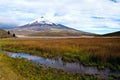 Limpiopungo Lagoon at the foot of the volcano Cotopaxi Royalty Free Stock Photo