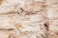 Limstone texture background Royalty Free Stock Photo