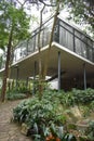 Lina Bo Bardi`s Glass House