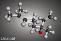 Linalool molecule. It is terpene alcohol. Molecular model. 3D rendering Royalty Free Stock Photo