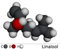 Linalool molecule. It is terpene alcohol. Molecular model. 3D rendering