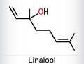 Linalool molecule. It is terpene alcohol. Skeletal chemical formula Royalty Free Stock Photo