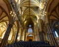 Lincoln Cathedral Nave Ceiling West