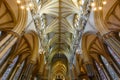 Lincoln Cathedral Nave Ceiling East