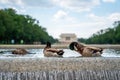 Lincoln Memorial in the National Mall, Washington DC. Royalty Free Stock Photo