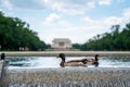 Lincoln Memorial in the National Mall, Washington DC. Lincoln Memorial on blue sky background and ducks swimming in the pond Royalty Free Stock Photo
