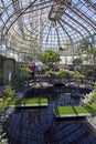 Lincoln Park Conservatory inside